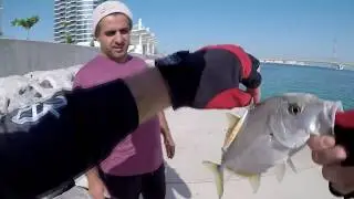 Fishing in  Abu Dhabi