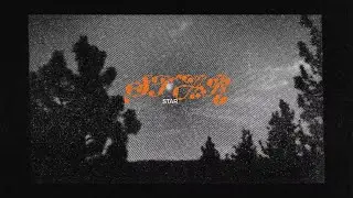Mitski - Star (Official Lyric Video)