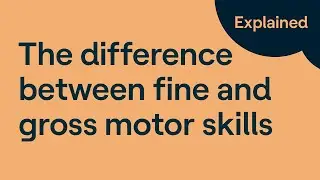 Gross Motor Skills vs. Fine Motor Skills: What’s the difference?