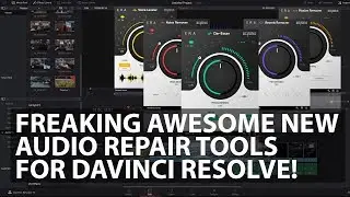 Accusonus Audio VST Audio Plugins for Davinci Resolve 15