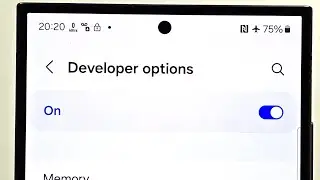 How To Turn On Developer Options on Samsung Galaxy S24 Ultra