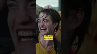 Have you QUESTIONED this about HARRY POTTER?? 