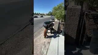 It was just a DUMMY!