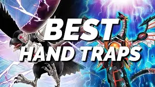BEST Hand Traps To Play This Format! Yu-Gi-Oh!