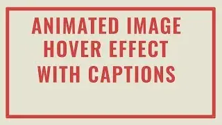 CSS3 Animated Text Overlay on Hover | Animated Image Hover Effects with Captions