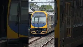 Koori Knockout Livery H Set Passing #erskineville station #shorts