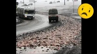 На Камчатке дороги засыпаны рыбой