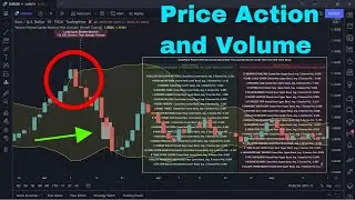 This Trading Indicator Finds the Best Candle Formations