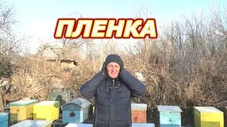 Еще раз о пленке в ульях. Пленка Нужна.