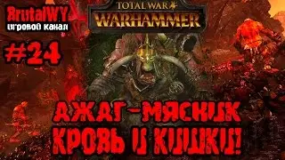 Отличная битва! Много крови Хаоса!  // Total War: Warhammer - Ажаг-Мясник / Орки №24