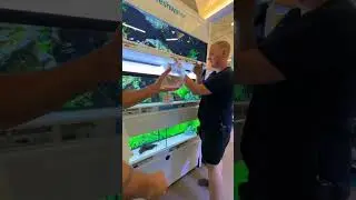 BUYING A FAKE FISH PRANK