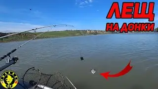 Рыбалка на донки. Ждём сазана на Оби.