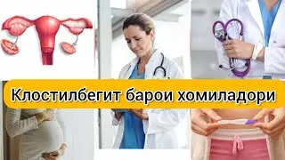 Клостилбегит ва кори Тухмдонхо. Чавоб ба саволхо. 