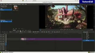 How To Make Vertigo Video In Flowbalde? - Flowblade Tutorial #13