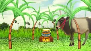 Happy Pongal  #pongal #tamilfestival