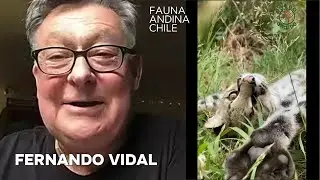 Fernando Vidal Fauna Adina