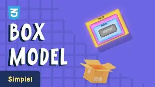 CSS Box Model - Everything You Need To Know!