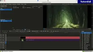 How To Add Subtitle To Video In Flowblade? - Flowblade Tutorial #17