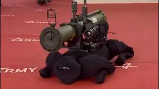 Робот-собака гранатометчик М-81. Новинка ВПК России. / Robot dog grenade launcher M-81.