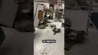 Сержант учит дисциплине!