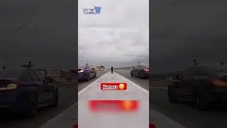 Ахмед Венгалби Кипишь Асхаб Тамаев !