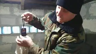 ВЗВЕШИВАНИЕ самцов НУТРИЙ разных возрастов!