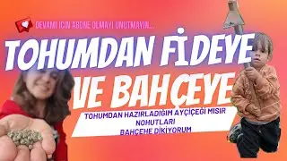 AYÇİÇEĞİ, MISIR, NOHUT EKİYORUM | TOHUMDAN FİDELEDİM | SANIRIM DANABURNU VAR!! | GÜNLÜK BAHÇE İŞLERİ