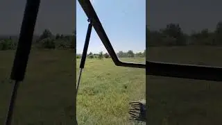Коп огрызка под Фигаро