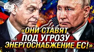 Венгрия в гневе из-за решения Украины остановить поставки российской нефти