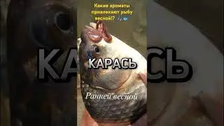 Какие запахи привлекают рыбу весной!? 🐟🎣