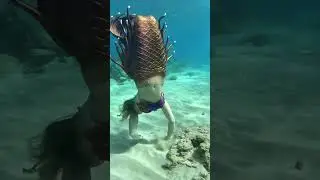 Mermaid tries to lure me 