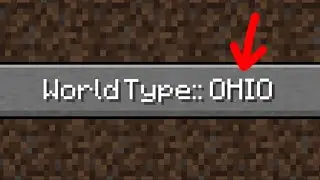 playing minecraft in ohio 💀