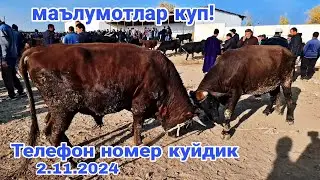 Ковчин мол бозори нархлари 2.11.2024