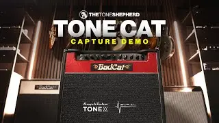 Tone Shepherd // 🐈‍⬛ BAD CAT TONE CAT  🐈‍⬛ // Capture Demo