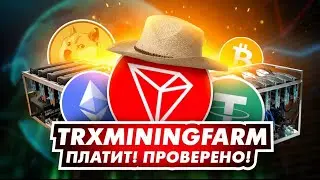 Майнинг На Tron - Вывел 1145 TRX и 0.06 BNB - Марафон По Реинвесту Завершён!!!! (TrxMiningFarm)