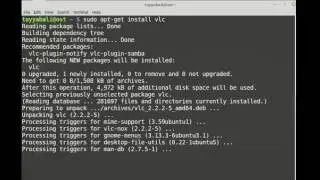 Install software using apt manager