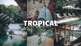 Tropical preset | Lightroom Mobile Preset Free DNG | Outdoor preset | lightroom presets