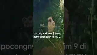 UDA GA KAGET KALO ADA INI DI PLTU PAITON💀 