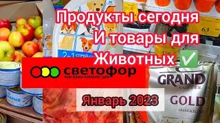 СВЕТОФОР🚦ЦЕНЫ НА МЯСО ПРОДУКТЫ НОВИНКИ✅ОБЗОР ТОВАРОВ для животных Январь 2023