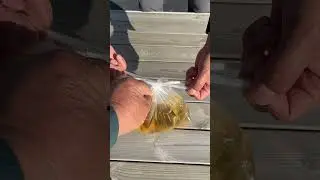 WOW, the plastic bag is knotted and watertight.