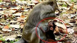 OMG!Mom Violet action seem like weaning baby Julina,Poor baby Julina mom bite remove milk