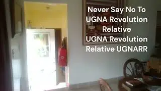 UGNARR Never say no to panda paper cheese parody what?