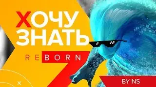 Хочу Знать: Reborn #2. Кого пикать?