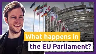 What happens in the European Parliament? — A day with Damian Boeselager