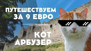 ПУТЕШЕСТВУЕМ ЗА 9 ЕВРО. БАД-НОЙШТАДТ-АН-ДЕР-ЗАЛЕ. ВОЗВРАЩЕНИЕ БЛУДНОГО КОТА. ПОЗДНИЕ ПЕРЕСЕЛЕНЦЫ.