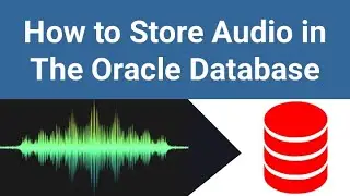 How to Insert an Audio in to Oracle Database || Storing Sound, Voice or Music File in Database Table