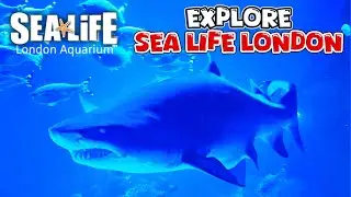 Explore Sea Life London Aquarium | Complete Walkthrough Tour (Nov 2024) [4K]