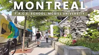 MONTREAL, Quebec, Canada: Exploring Montreal’s Vibrant Downtown 