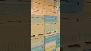 Улья ппу . Видео на канале