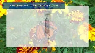 Нож поварской ATTRIBUTE Antique, 18см